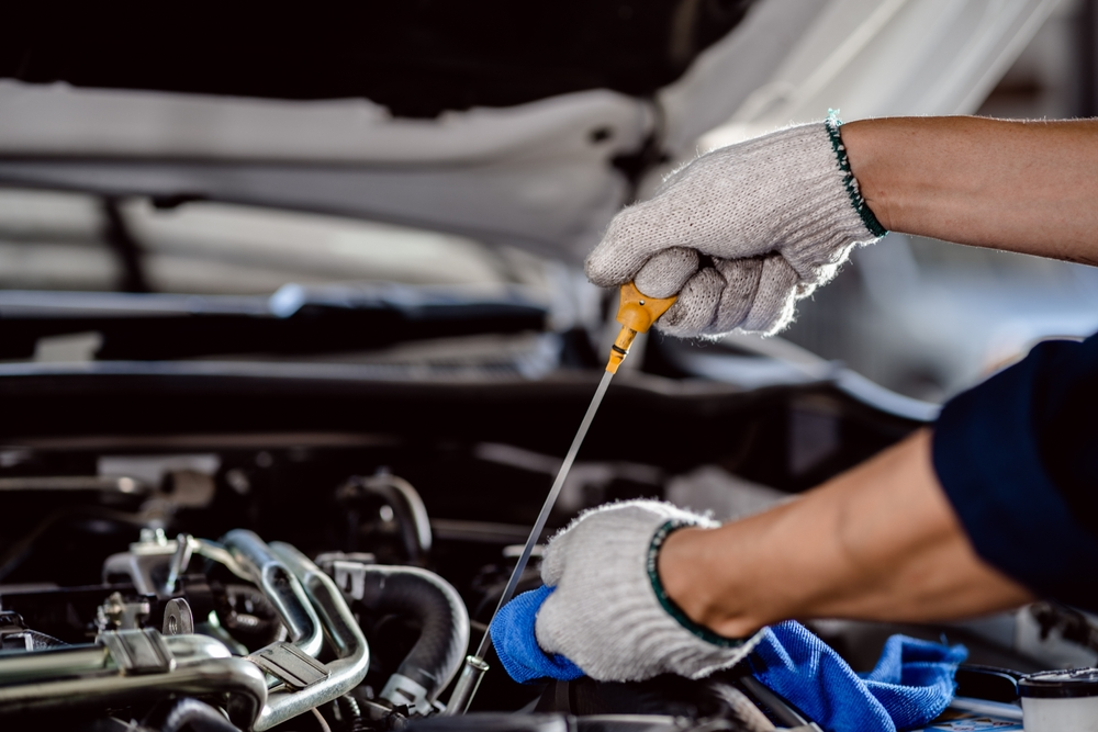 Car protection umbrella